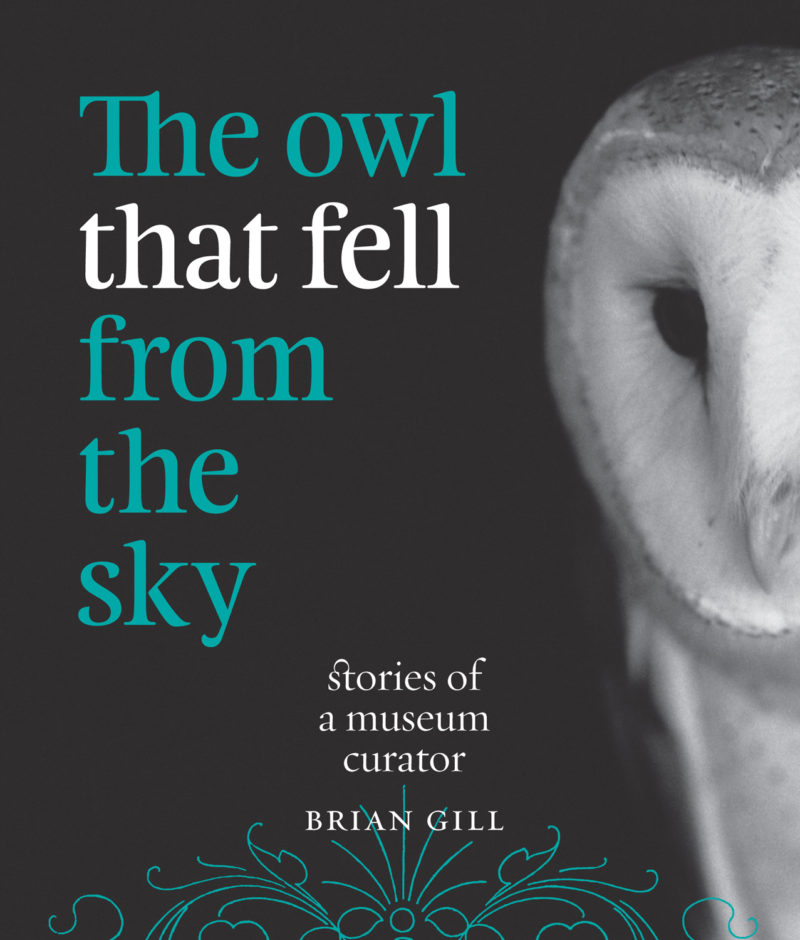 The Owl that Fell from the Sky – Stories of a Museum Curator